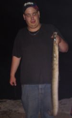 T. Z�rcher, 04.07.10: Aal 98cm gefangen mit Laubw�rmer in der Aare (SO) 
