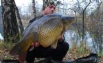 M. Frei, 06.11.2011 : Schuppenkarpfen gefangen mit Boilies im Alten Rhein SG 16,2kg 