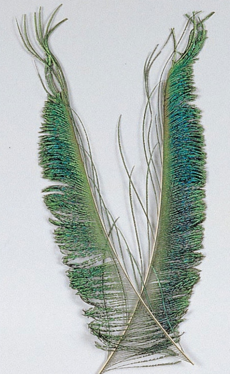 ZUBEHÖR FLIEGENFISCHEN  