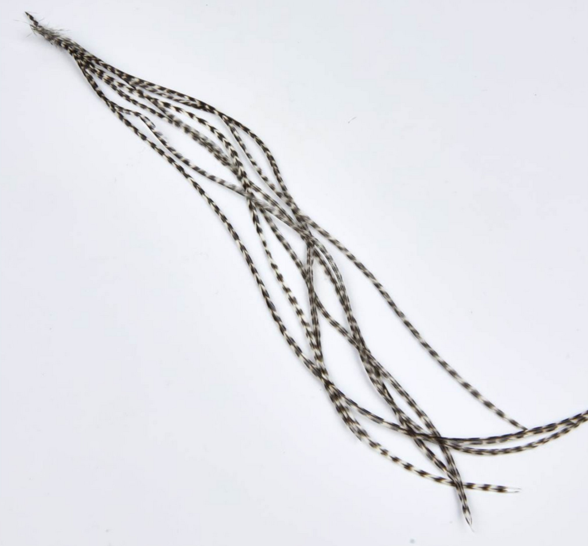 ZUBEHÖR FLIEGENFISCHEN  