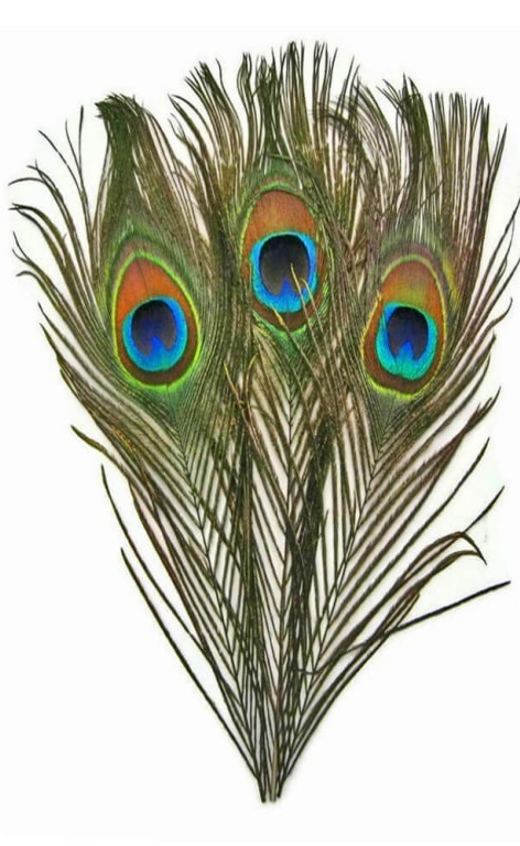 ZUBEHÖR FLIEGENFISCHEN  