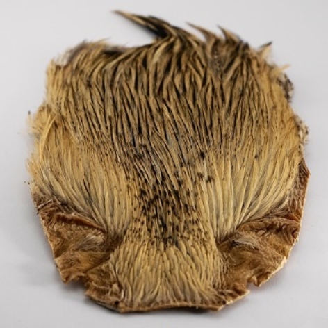 ZUBEHÖR FLIEGENFISCHEN  