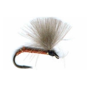 ZUBEHÖR FLIEGENFISCHEN  
