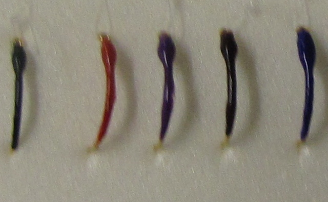 HEGENEN (GAMBEN) 