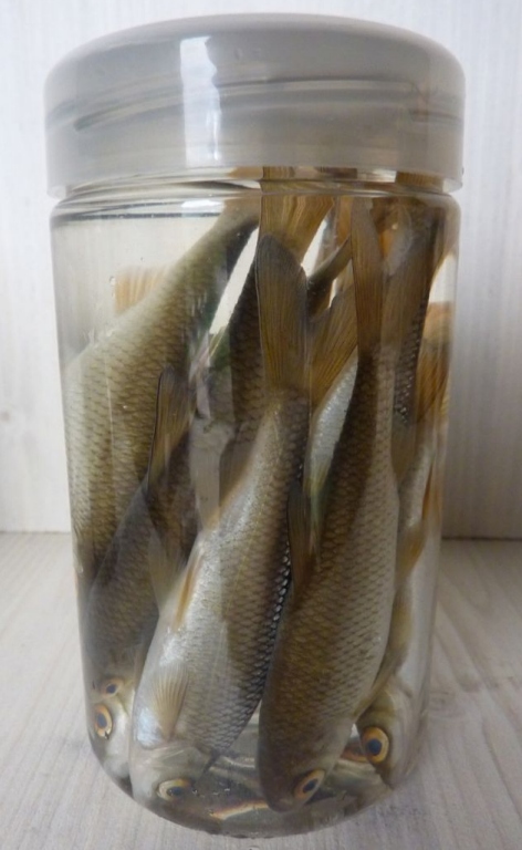 FUTTER, LOCKSTOFFE, usw. 