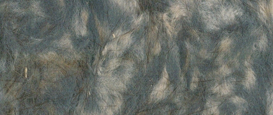 ZUBEHÖR FLIEGENFISCHEN  