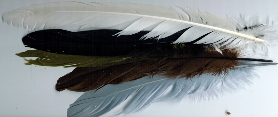 ZUBEHÖR FLIEGENFISCHEN  