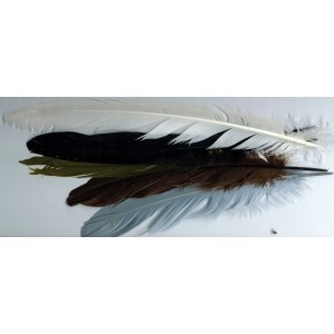 ZUBEHÖR FLIEGENFISCHEN  