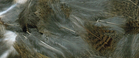 ZUBEHÖR FLIEGENFISCHEN  