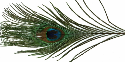 ZUBEHÖR FLIEGENFISCHEN  