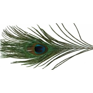 ZUBEHÖR FLIEGENFISCHEN  