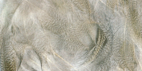 ZUBEHÖR FLIEGENFISCHEN  