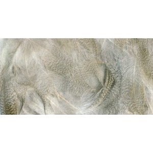 ZUBEHÖR FLIEGENFISCHEN  