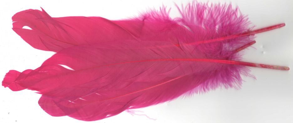 ZUBEHÖR FLIEGENFISCHEN  