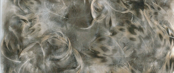 ZUBEHÖR FLIEGENFISCHEN  