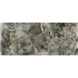 ZUBEHÖR FLIEGENFISCHEN  