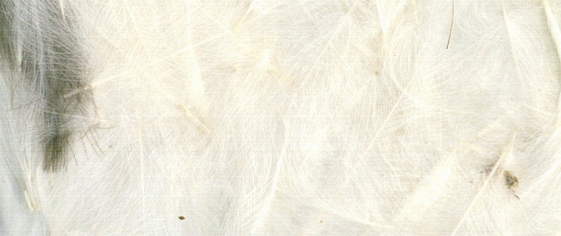 ZUBEHÖR FLIEGENFISCHEN  