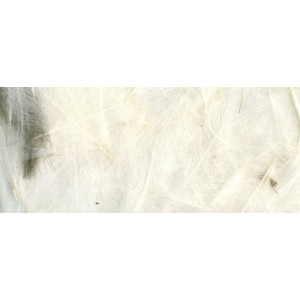 ZUBEHÖR FLIEGENFISCHEN  