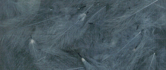 ZUBEHÖR FLIEGENFISCHEN  