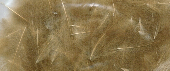 ZUBEHÖR FLIEGENFISCHEN  