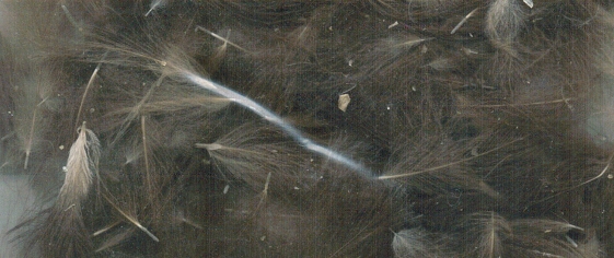 ZUBEHÖR FLIEGENFISCHEN  