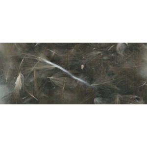 ZUBEHÖR FLIEGENFISCHEN  