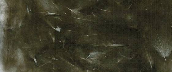 ZUBEHÖR FLIEGENFISCHEN  