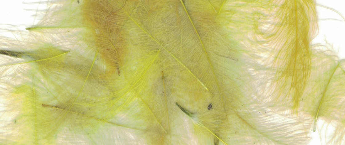 ZUBEHÖR FLIEGENFISCHEN  