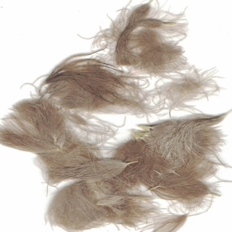 ZUBEHÖR FLIEGENFISCHEN  