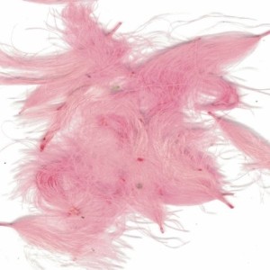 ZUBEHÖR FLIEGENFISCHEN  