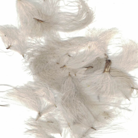 ZUBEHÖR FLIEGENFISCHEN  