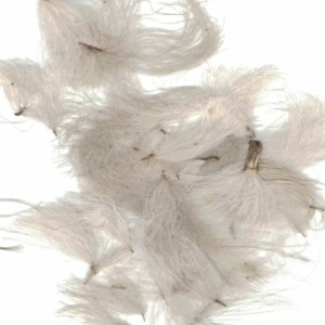 ZUBEHÖR FLIEGENFISCHEN  