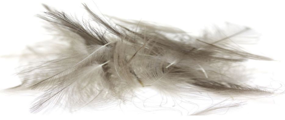 ZUBEHÖR FLIEGENFISCHEN  