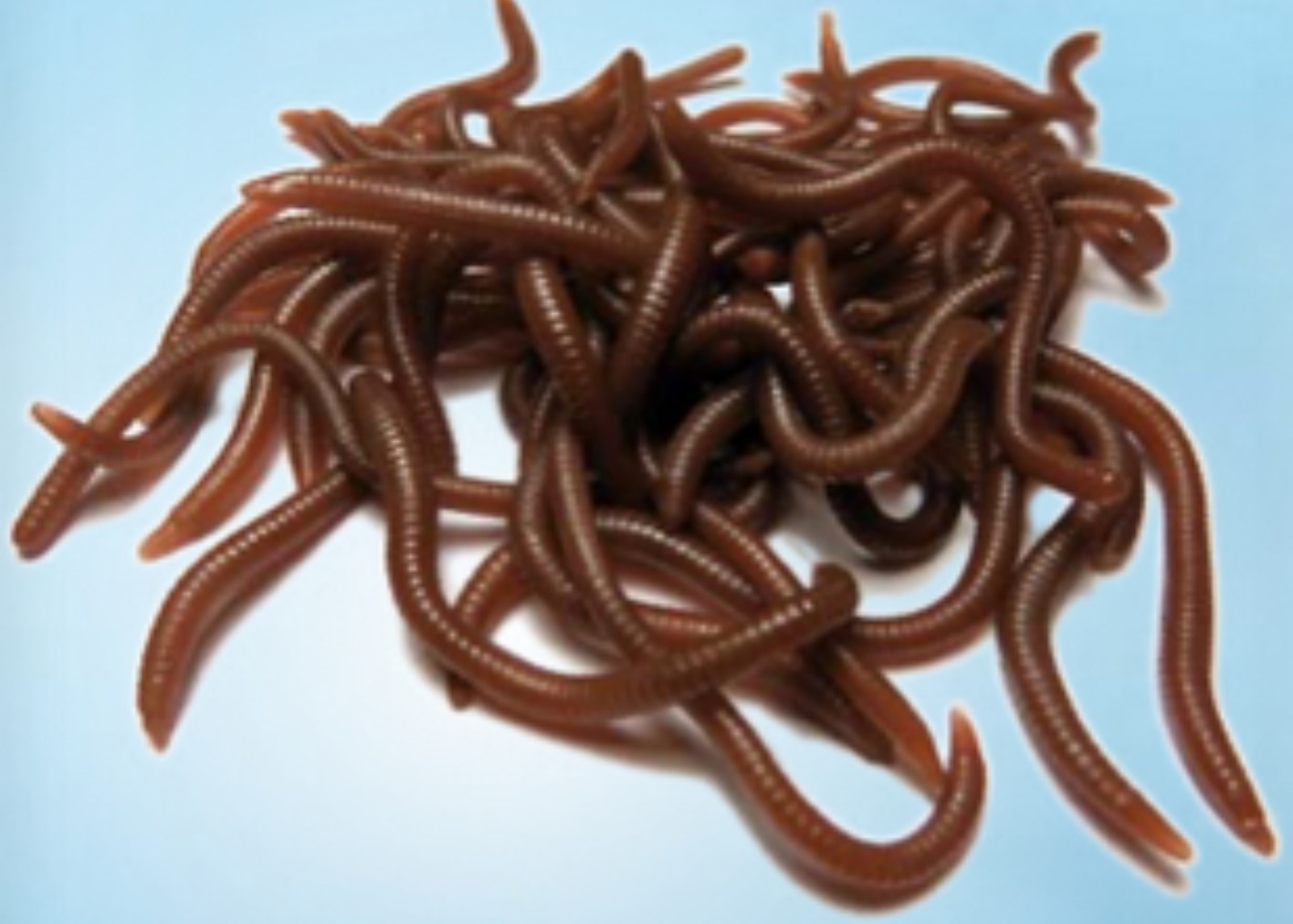 FUTTER, LOCKSTOFFE, usw. 